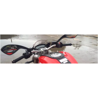 Coppia specchietti ducati monster