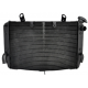 Radiatore r1 04 06