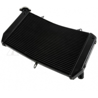 Radiatore yamaha fz1 06 12