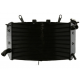 Radiatore yamaha fz1 06 12